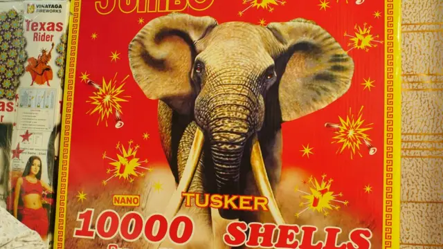 Elephant